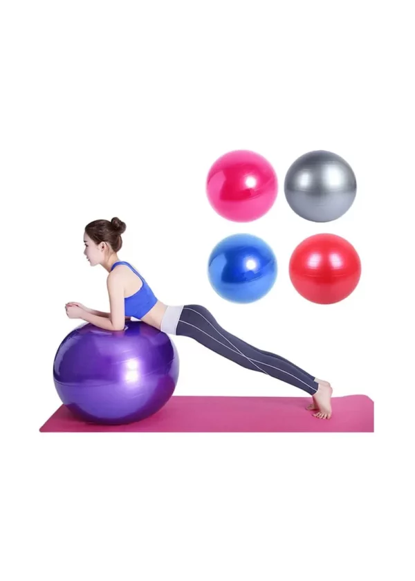 IRONBULL GYM BALL - Image 2