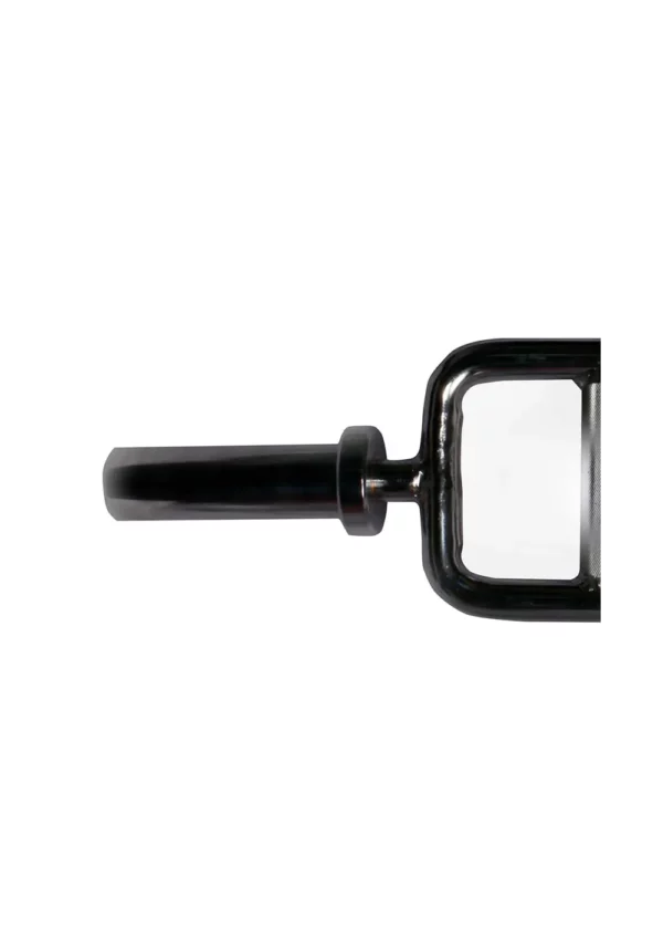 Hammer Curl Bar - Image 5