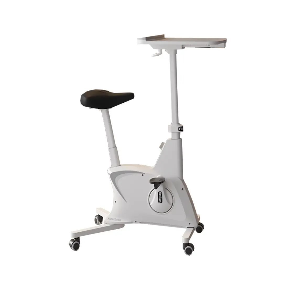 FLEXISPOT DESK EXERCISE BIKE
